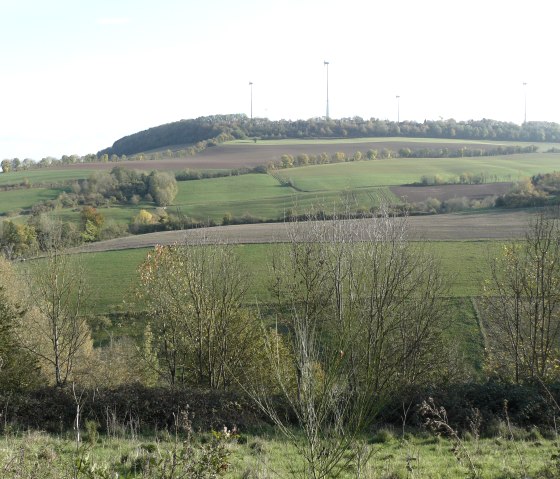 Green fields and hills near Halsdorf, lined with trees. There are several wind turbines on a hill in the background., © Felsenland Südeifel Tourismus GmbH, Christian Calonec-Rauchfuss Green fields and hills near Halsdorf, lined with trees. There are several wind turbines on a hill in the background., © Felsenland Südeifel Tourismus GmbH, Christian Calonec-Rauchfuss