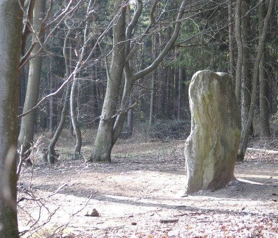 Druidenstein Bollendorf von der Schmalseite, © Elke Wagner Druidenstein Bollendorf von der Schmalseite, © Elke Wagner