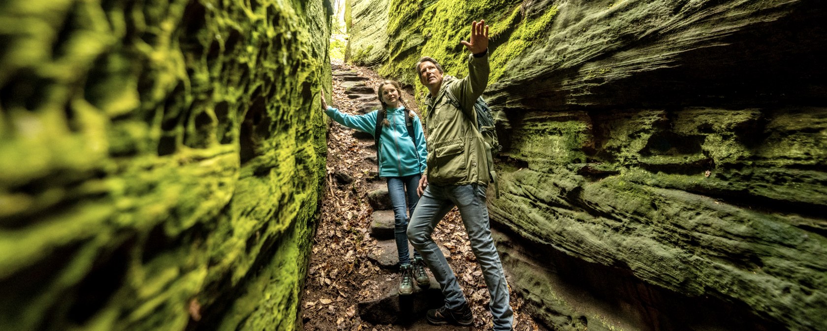 In der Grünen Hölle von Bollendorf, © Eifel Tourismus GmbH, Dominik Ketz In der Grünen Hölle von Bollendorf, © Eifel Tourismus GmbH, Dominik Ketz