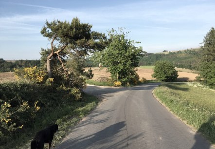 img_1071, © Manuel Norta, Ammeldingen img_1071, © Manuel Norta, Ammeldingen