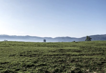 Grenzenloses Wandern, © Hotel-Rest. Zum goldenen Grund Grenzenloses Wandern, © Hotel-Rest. Zum goldenen Grund