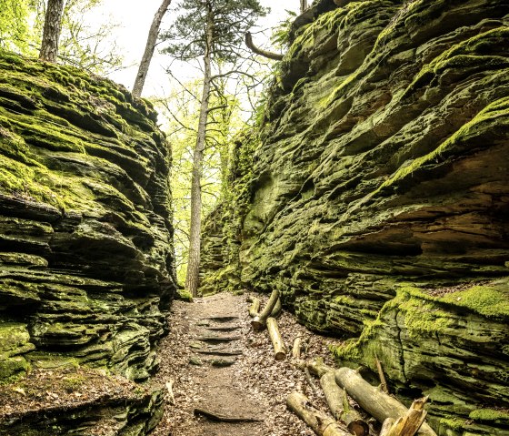 Felsenlandschaft auf der Lauschtour Grüne Hölle, © Eifel Tourismus GmbH, Dominik Ketz Felsenlandschaft auf der Lauschtour Grüne Hölle, © Eifel Tourismus GmbH, Dominik Ketz