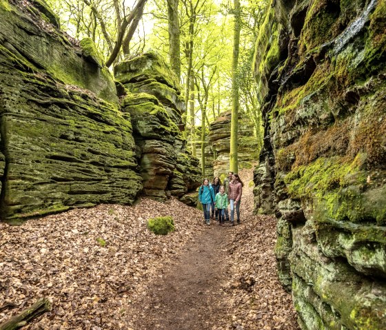 Een gezin wandelt door een met mos bedekte rotsgang in het ravijnbos bij Bollendorf. De omgeving is groen en herfstachtig., © Eifel Tourismus GmbH, Dominik Ketz Een gezin wandelt door een met mos bedekte rotsgang in het ravijnbos bij Bollendorf. De omgeving is groen en herfstachtig., © Eifel Tourismus GmbH, Dominik Ketz
