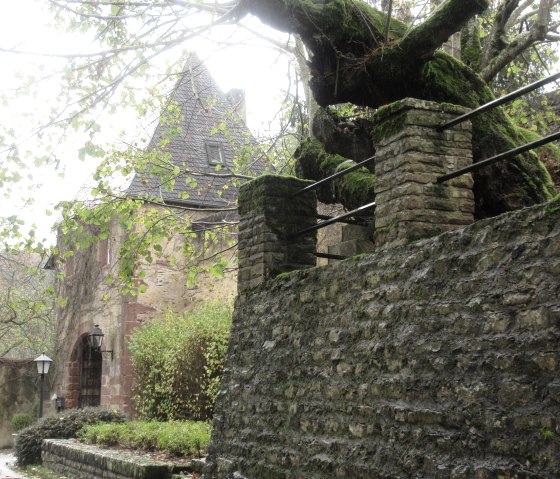 Schloss Roth, © Felsenland Südeifel Tourismus GmbH Schloss Roth, © Felsenland Südeifel Tourismus GmbH