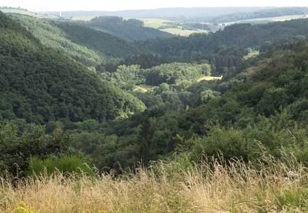 Panoramic view over the green Alsbach valley with rolling hills, dense forests and meadows in the foreground., © V. Teuschler Panoramic view over the green Alsbach valley with rolling hills, dense forests and meadows in the foreground., © V. Teuschler