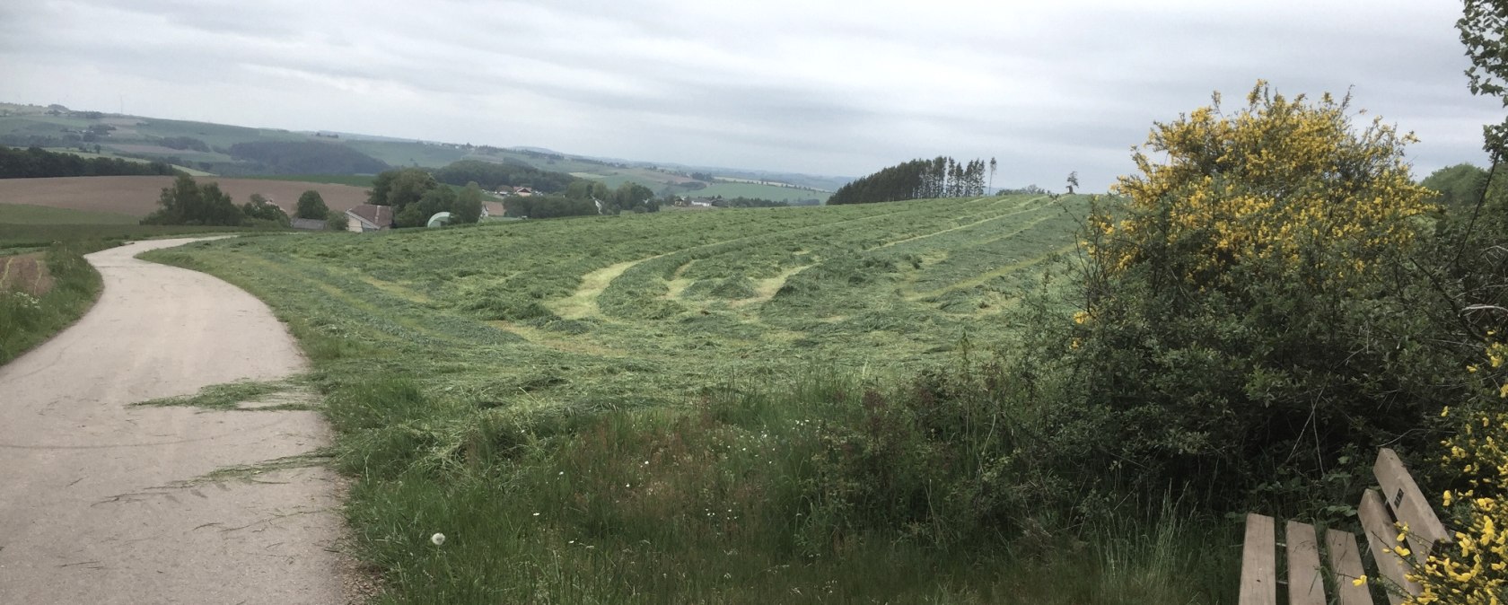 img_8143, © Manuel Norta, Ammeldingen img_8143, © Manuel Norta, Ammeldingen