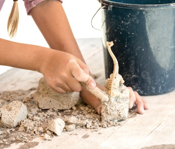 Dinos bergen im Forschercamp, © Felsenland Südeifel Tourismus GmbH Dinos bergen im Forschercamp, © Felsenland Südeifel Tourismus GmbH