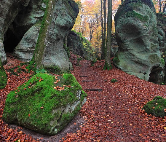 Ein Waldweg mit moosbedeckten Felsen, umgeben von herbstlichem Laub und Bäumen. Der Weg führt durch eine malerische, natürliche Landschaft., © Naturpark Südeifel, C. Schleder Ein Waldweg mit moosbedeckten Felsen, umgeben von herbstlichem Laub und Bäumen. Der Weg führt durch eine malerische, natürliche Landschaft., © Naturpark Südeifel, C. Schleder
