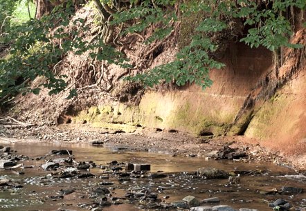 A stream flows along a reddish wall of earth, surrounded by green trees and stones in the water., © V. Teuschler A stream flows along a reddish wall of earth, surrounded by green trees and stones in the water., © V. Teuschler