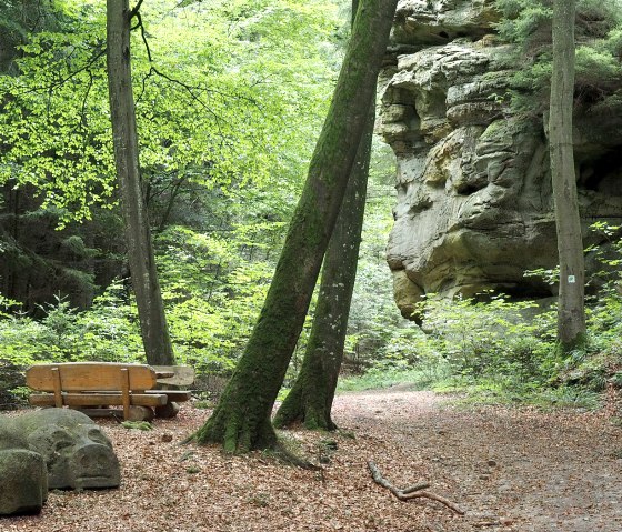 A forest path with a wooden bench and a large rock formation in the background. The ground is covered with leaves, surrounded by tall trees., © Volker Teuschler A forest path with a wooden bench and a large rock formation in the background. The ground is covered with leaves, surrounded by tall trees., © Volker Teuschler