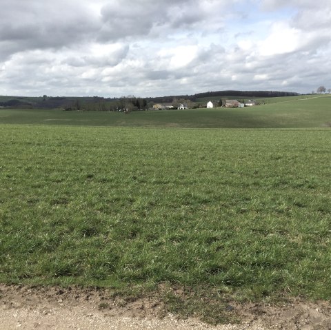 img_0546, © Manuel Norta, Ammeldingen img_0546, © Manuel Norta, Ammeldingen