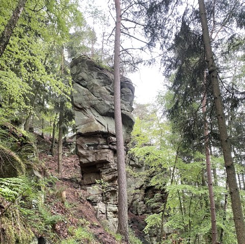 Predigtstuhl, © Felsenland Südeifel Tourismus GmbH, AC Krebs Predigtstuhl, © Felsenland Südeifel Tourismus GmbH, AC Krebs