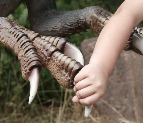 Hände, © Felsenland Südeifel Tourismus GmbH Hände, © Felsenland Südeifel Tourismus GmbH