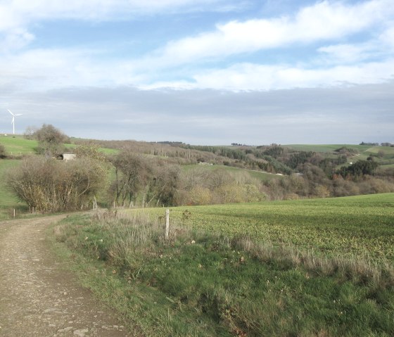 Een landweggetje leidt door groene weiden, met op de achtergrond een windturbine en glooiende heuvels onder een blauwe hemel., © Felsenland Südeifel Tourismus GmbH, Natalie Mainz Een landweggetje leidt door groene weiden, met op de achtergrond een windturbine en glooiende heuvels onder een blauwe hemel., © Felsenland Südeifel Tourismus GmbH, Natalie Mainz