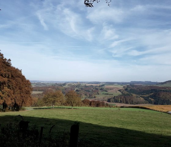 31992-resize-1170x1170x70 31992-resize-1170x1170x70