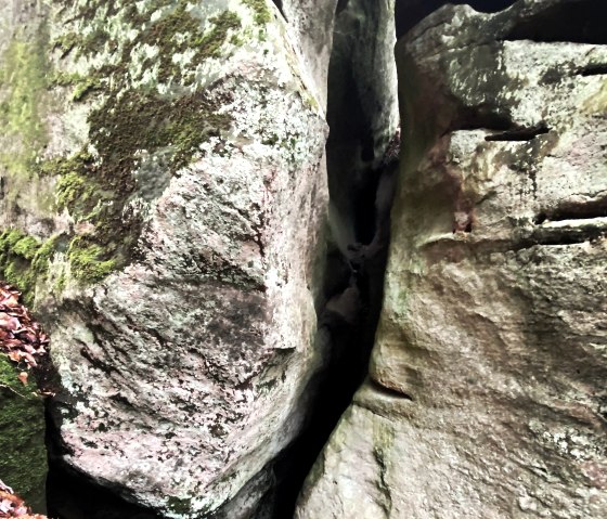 Muhmenlay Nahaufnahme, © Felsenland Südeifel Tourismus GmbH, AC Krebs Muhmenlay Nahaufnahme, © Felsenland Südeifel Tourismus GmbH, AC Krebs