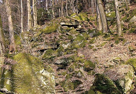 Moss-covered sandstone steps lead through an autumnal forest. Trees and foliage surround the natural staircase. Moss-covered sandstone steps lead through an autumnal forest. Trees and foliage surround the natural staircase.