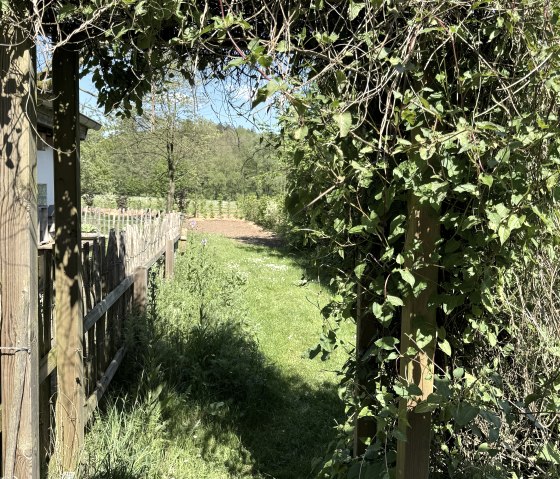 Außengelände Außengelände