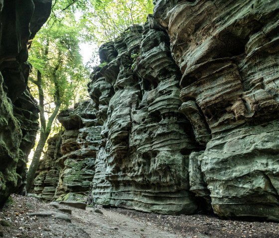 Steile Felsen in der Teufelsschlucht, © Eifel Tourismus GmbH, D. Ketz Steile Felsen in der Teufelsschlucht, © Eifel Tourismus GmbH, D. Ketz