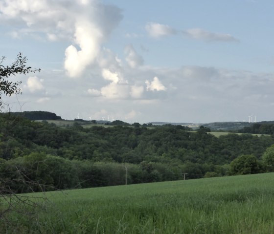 Grüne Felder und Wälder erstrecken sich bis zum Horizont, wo Windräder stehen. Der Himmel ist blau mit weißen Wolken., © Elke Wagner, Felsenland Südeifel Tourismus GmbH Grüne Felder und Wälder erstrecken sich bis zum Horizont, wo Windräder stehen. Der Himmel ist blau mit weißen Wolken., © Elke Wagner, Felsenland Südeifel Tourismus GmbH