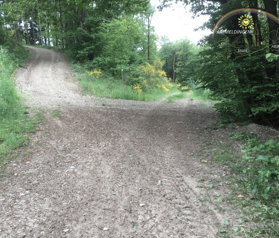 img_8164_logo, © Manuel Norta, Ammeldingen img_8164_logo, © Manuel Norta, Ammeldingen