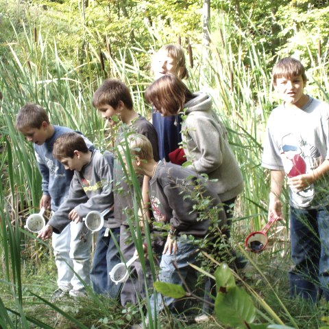 Schulkinder erkunden einen Weiher während eines Naturerlebnisprogramms des Naturparkzentrums Teufelsschlucht in Ernzen , © Felsenland Südeifel Tourismus GmbH