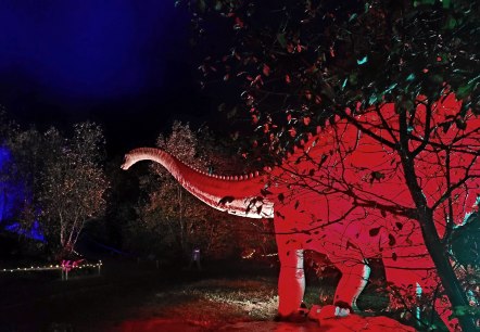 Urzeitriese: Diplodocus, © Dinosaurierpark Teufelsschlucht, Foto Elke Wagner Urzeitriese: Diplodocus, © Dinosaurierpark Teufelsschlucht, Foto Elke Wagner
