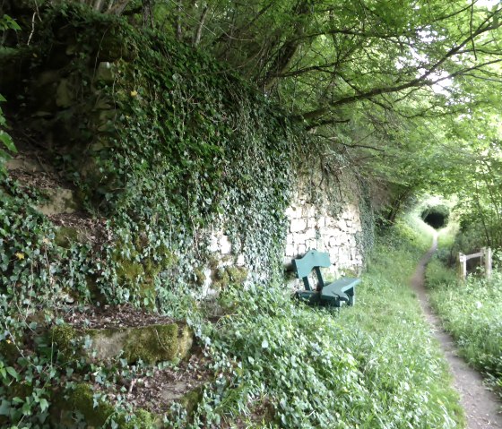 Green rest area with bench on an ivy-covered dry stone wall, surrounded by dense foliage and a narrow path., © Elke Wagner, Felsenland Südeifel Tourismus GmbH Green rest area with bench on an ivy-covered dry stone wall, surrounded by dense foliage and a narrow path., © Elke Wagner, Felsenland Südeifel Tourismus GmbH