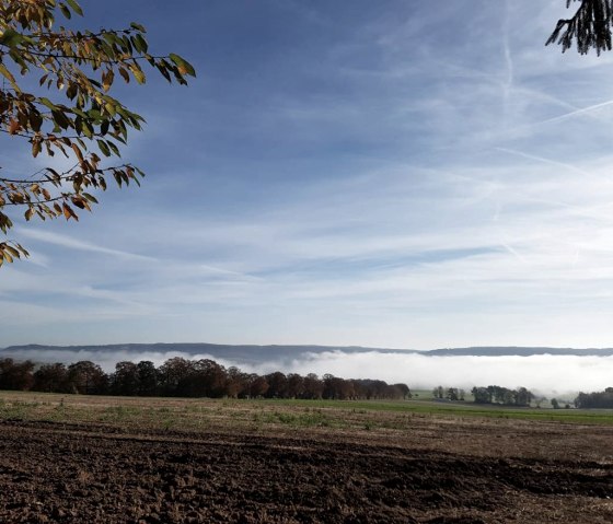 31993-resize-1170x1170x70 31993-resize-1170x1170x70