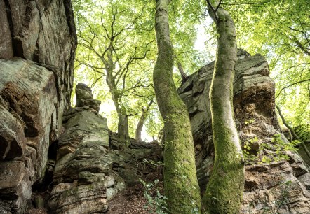 Rocks at the Mandrack Passage in the NaturWanderPark delux, © Eifel Toursimus GmbH, D. Ketz Rocks at the Mandrack Passage in the NaturWanderPark delux, © Eifel Toursimus GmbH, D. Ketz