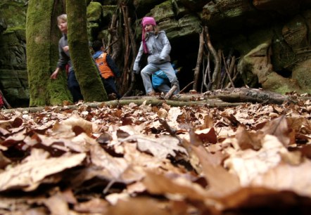 Herbstwanderungen, © Felsenland Südeifel Tourismus GmbH Herbstwanderungen, © Felsenland Südeifel Tourismus GmbH