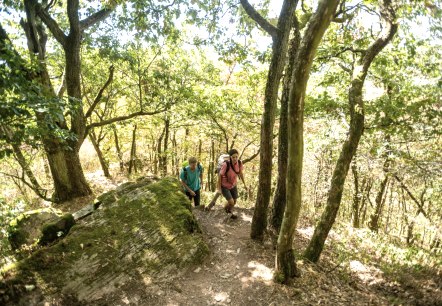 Two hikers on a narrow, wooded path in the Lätgesberg. The sun shines through the trees and illuminates the moss-covered ground., © Eifel Tourismus GmbH, D. Ketz Two hikers on a narrow, wooded path in the Lätgesberg. The sun shines through the trees and illuminates the moss-covered ground., © Eifel Tourismus GmbH, D. Ketz