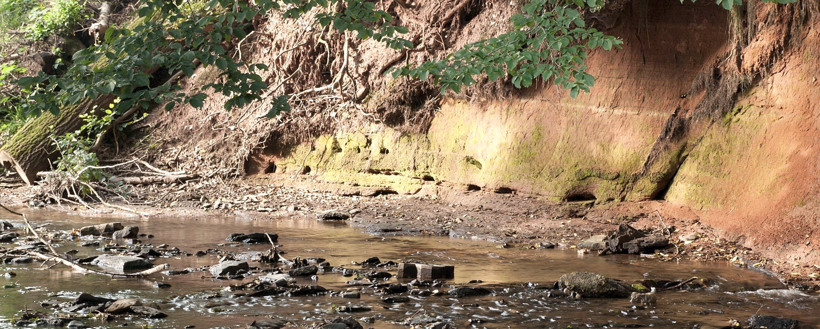 A stream flows past a red wall of earth, surrounded by green leaves and stones., © V. Teuschler A stream flows past a red wall of earth, surrounded by green leaves and stones., © V. Teuschler