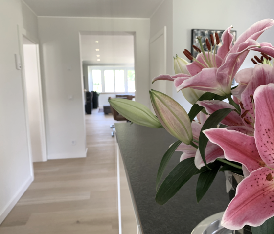 Küche_Pflanze_nah Groß Küche_Pflanze_nah Groß