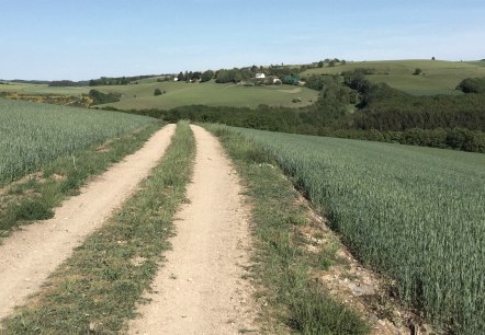 t_4, © Manuel Norta, Ammeldingen t_4, © Manuel Norta, Ammeldingen