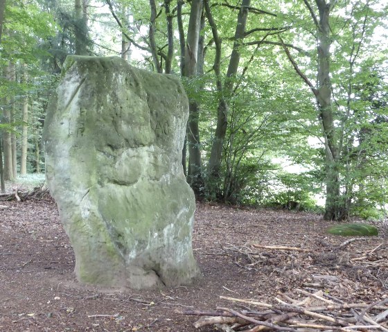 Der Druidenstein bei Bollendorf, © Elke Wagner Der Druidenstein bei Bollendorf, © Elke Wagner