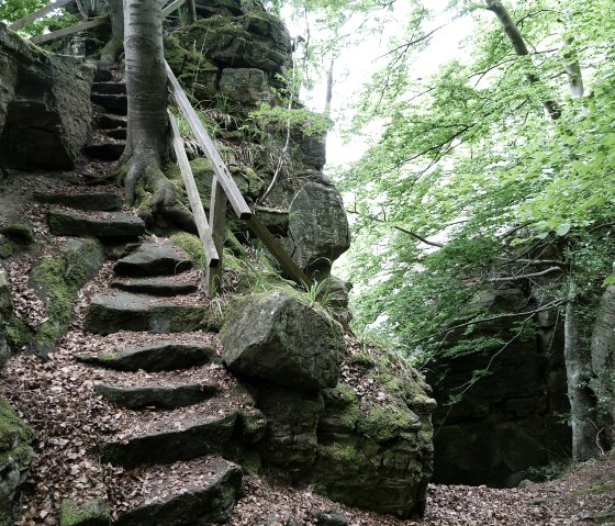 Ein steiniger Pfad mit Holzgeländer führt durch einen grünen Wald. Moos bedeckt die Steine, und Bäume umgeben den Weg., © Elke Wagner, Felsenland Südeifel Tourismus GmbH Ein steiniger Pfad mit Holzgeländer führt durch einen grünen Wald. Moos bedeckt die Steine, und Bäume umgeben den Weg., © Elke Wagner, Felsenland Südeifel Tourismus GmbH