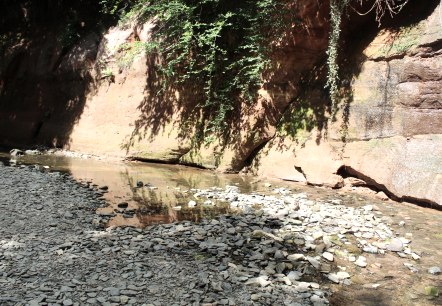 img_0897, © Felsenland Südeifel Tourismus GmbH, Christian Calonec-Rauchfuss img_0897, © Felsenland Südeifel Tourismus GmbH, Christian Calonec-Rauchfuss