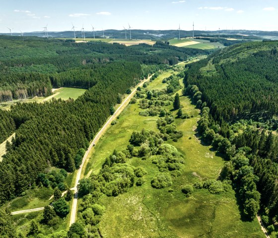 Grünes Tal mit Radweg, umgeben von dichten Wäldern. Windräder stehen am Horizont unter blauem Himmel., © Eifel Tourismus GmbH, Dominik Ketz Grünes Tal mit Radweg, umgeben von dichten Wäldern. Windräder stehen am Horizont unter blauem Himmel., © Eifel Tourismus GmbH, Dominik Ketz