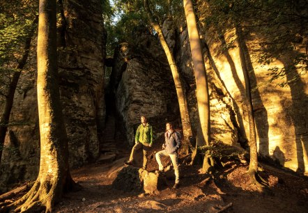 Teufelsschlucht, © Eifel Tourismus GmbH, Dominik Ketz Teufelsschlucht, © Eifel Tourismus GmbH, Dominik Ketz