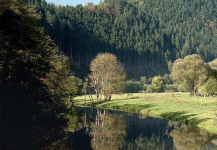 The Our near Obereisenbach, surrounded by dense forests and green meadows., © V. Teuschler The Our near Obereisenbach, surrounded by dense forests and green meadows., © V. Teuschler