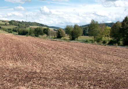 Wide landscape in the Enz valley with a brown field in the foreground, trees and a windmill in the background under a blue sky with clouds., © V. Teuschler Wide landscape in the Enz valley with a brown field in the foreground, trees and a windmill in the background under a blue sky with clouds., © V. Teuschler