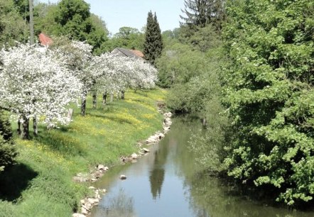 apfelbluete-an-der-pruem-in-holsthum, © Hans-Dieter Heck apfelbluete-an-der-pruem-in-holsthum, © Hans-Dieter Heck