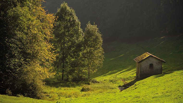 Kleine Hütte auf einer grünen Wiese im Kammerwald, umgeben von Bäumen im Sonnenlicht.