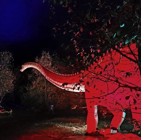 Urzeitriese: Diplodocus, © Dinosaurierpark Teufelsschlucht, Foto Elke Wagner