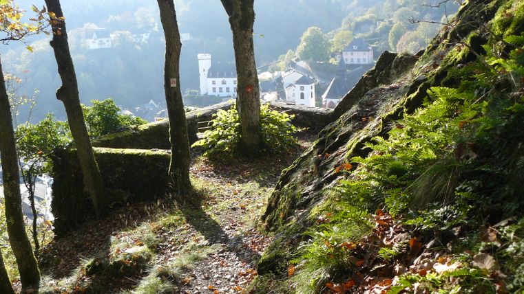 Waldweg mit Blick auf Gebäude in Neuerburg.
