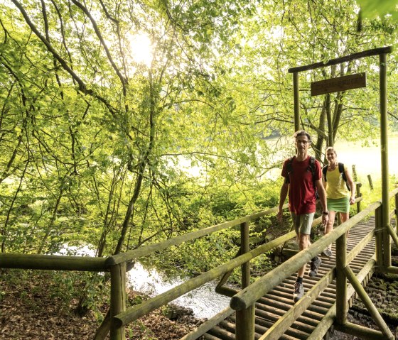 Stream trail in the NaturWanderPark delux, Ernst Bridge over the Alfbach stream, © Eifel Tourismus GmbH, D. Ketz