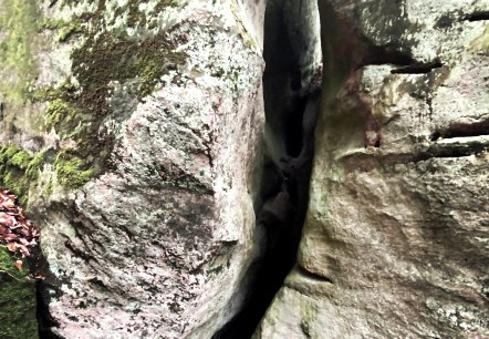 Muhmenlay Nahaufnahme, © Felsenland Südeifel Tourismus GmbH, AC Krebs