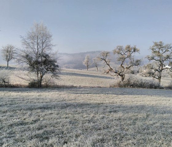 Eifel im Winter