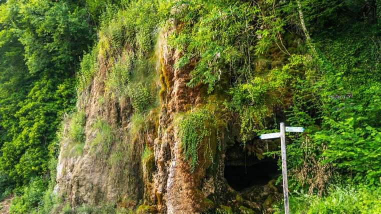 Eine große, bewachsene Felswand mit einer Höhle. Ein Wegezeichen steht daneben, um den Eingang zu kennzeichnen.